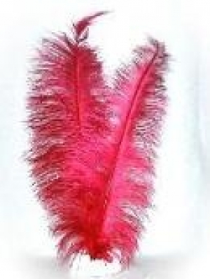Veer spadonis rood ca. 50 cm lang