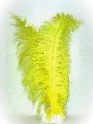 Veer spadonis geel ca. 50 cm lang