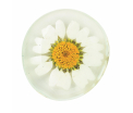 Flower Power Magneet - Wit met geel hart - doorsnee 3,5cm