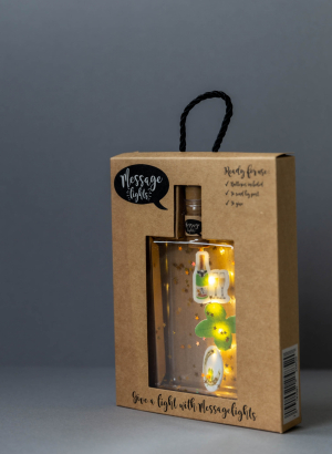 Message Lights - Succes / Good Luck - Leuk (pet) flesje met 6 ledlampjes, 3 vilten figuurtjes en gouden sterretjes - in leuke verpakking - kan als brievenbuspost verstuurd worden -