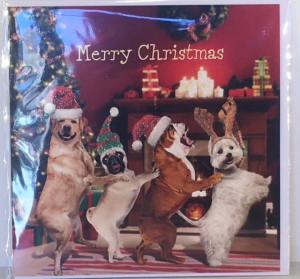 Kerstkaart - Christmas Dogs - Text inside: Merry Christmas and a Happy New Year